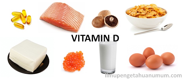 Makanan yang mengandung Sumber Vitamin D
