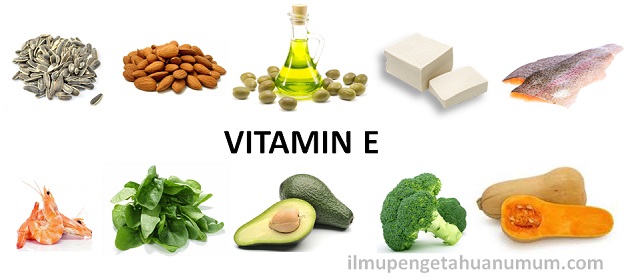 10 makanan yang mengandung vitamin E tertinggi