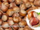 Kandungan Gizi Kacang Hazelnut dan Manfaat Kacang Hazelnut bagi Kesehatan