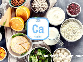 manfaat Kalsium bagi kesehatan