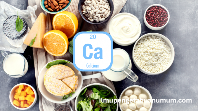 manfaat Kalsium bagi kesehatan