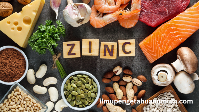 manfaat zinc (seng) bagi kesehatan tubuh